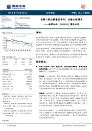 事件点评：电解二氧化锰量价齐升，业绩大幅增长