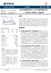 三季报点评：Q3线上增速有所回升，Q4毛利率恢复犹可期