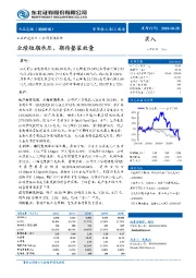 业绩短期承压,期待整装放量