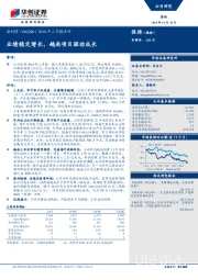 2018年三季报点评：业绩稳定增长，越南项目驱动成长