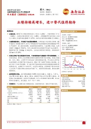 业绩持续高增长,进口替代值得期待