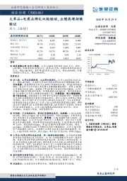大单品+电商品牌化双轮驱动，业绩高增持续验证