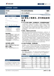 2018年三季报点评：Q3营收小幅增长、净利增速继续改善