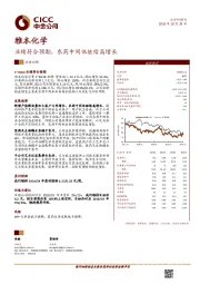 业绩符合预期，农药中间体继续高增长