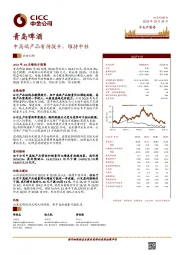 中高端产品有待提升，维持中性