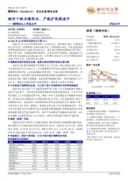 赣锋锂业三季报点评：锂价下跌业绩承压，产能扩张提速中