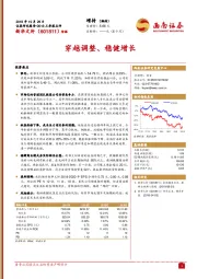 穿越调整、稳健增长