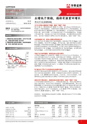 业绩低于预期，期待有源重回增长