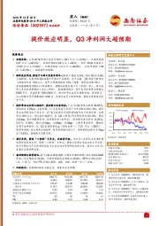 提价效应明显，Q3净利润大超预期