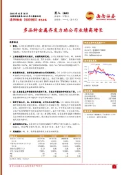 多品种金属齐发力助公司业绩高增长