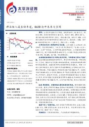 沸石驶入成长快车道,OLED打开未来大空间