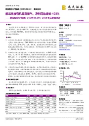 2018年三季报点评：前三季度有机硅高景气，净利同比增长403%