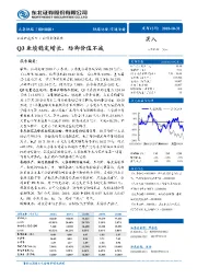 Q3业绩稳定增长，防御价值不减