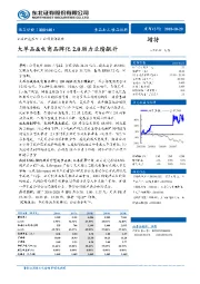 大单品&电商品牌化2.0助力业绩飙升