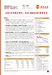 LCD出货稳步增长，柔性AMOLED蓄势待发