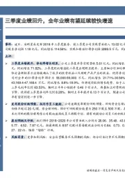 三季度业绩回升,全年业绩有望延续较快增速