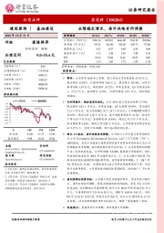 业绩稳定增长，海外战略有所调整