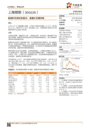 数据和电商双轮驱动，高增长有望持续