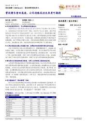 营收增长重回高速，公司战略成功未来更可期待