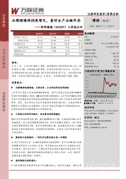三季报点评:业绩继续保持高增长,看好全产业链布局