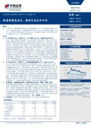 10月销售点评：销售持续高成长，提前完成全年目标