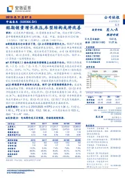 短期销量增长承压，车型结构或将改善