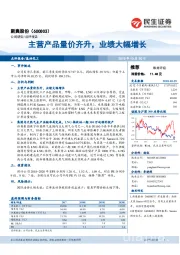 主营产品量价齐升，业绩大幅增长