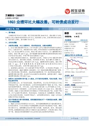 18Q3业绩环比大幅改善，可转债成功发行