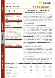 国内染料巨头，产能持续扩张