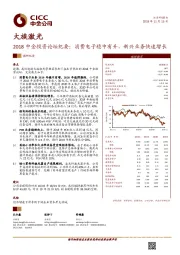 2018中金投资论坛纪要：消费电子稳中有升，新兴业务快速增长
