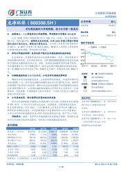 非电超低排放订单超预期，助力公司新一轮成长