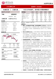 内生与外延兼并，竞争能力有望持续提升