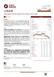 预期2019年青花汾酒营收同比增速下降到45%