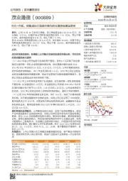 内生+外延，持续成长打造国内领先的云通信场景运营者