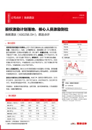 跟踪点评:股权激励计划落地,核心人员激励到位