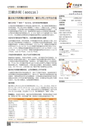 重庆地方电网整合蓄势待发，看好公司上市平台价值