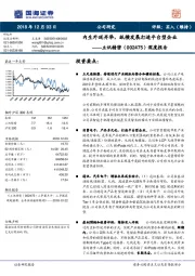 深度报告：内生外延并举，纵横发展打造平台型企业