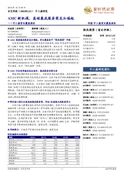 中小盘首次覆盖报告：AMC新机遇，高端集成服务商龙头崛起