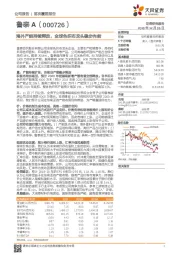 海外产能持续释放，全球色织布龙头稳步向前