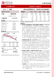 国内改性塑料龙头，新材料业务快速增长