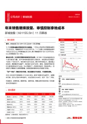 11月跟踪：年末销售继续放量，审慎控制拿地成本