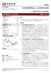 公司点评报告：金价走强增厚收益，公司投资机会显现