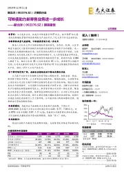 跟踪报告：可转债助力新零售业务进一步成长