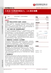 深度报告：大单品+双渠道持续发力，LSG提供增量