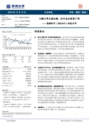 动态点评:大额订单支撑业绩,红外龙头前景广阔