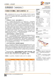 打破国内市场疆域，国际化战略再进一步