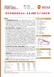 国内电解液溶剂龙头，具备DMC全产业链优势
