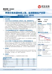 调研简报：钾肥价格有望持续上涨、盐湖提锂投产在即