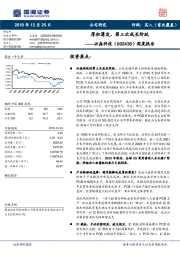 深度报告：厚积薄发，第三次成长阶跃