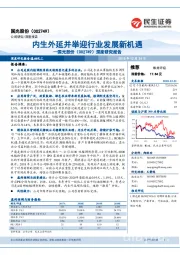 深度研究报告：内生外延并举迎行业发展新机遇